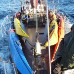 Sea Kayaks aboard Elwing heading south to Pt Pegasus
