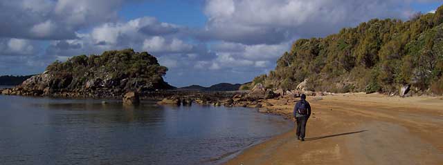 ulva-island Ulva Island Bird Sanctuary, Paterson Inlet, Stewart Island