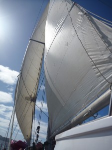 A Fine Suit of Sails Filled With the Southern Breeze!