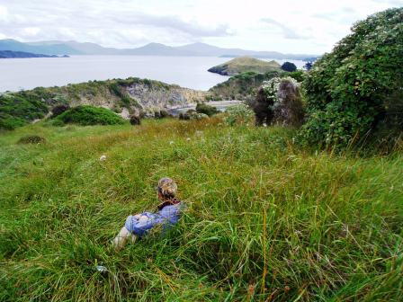 Hilltop Views of Paterson Inlet