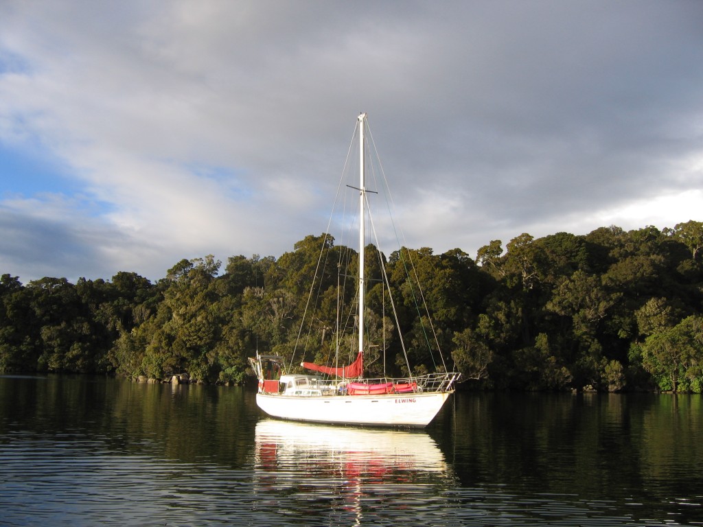 Stewart Island Adventure Anchorage for Elwing